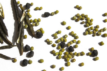 Mung beans and  pods isolated on white background