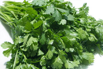 Coriander on a white background.