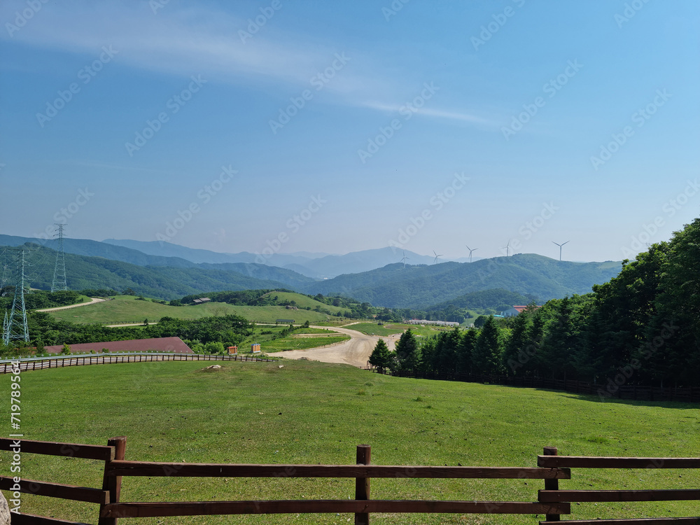 Canvas Prints this is the scenery of a sheep ranch in korea.