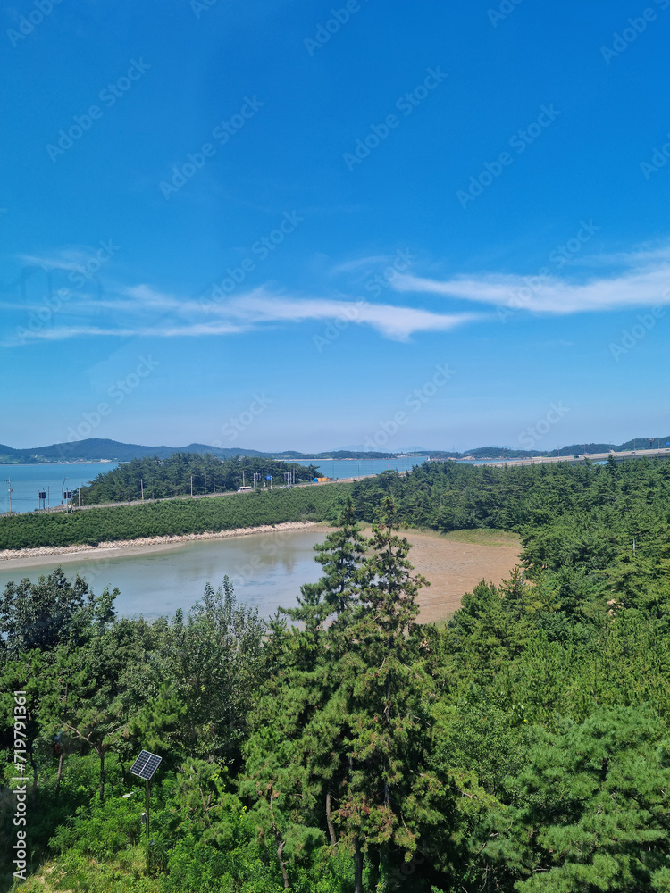 Canvas Prints it is a landscape with the sea and a forest.