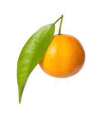 One fresh tangerine with green leaf isolated on white