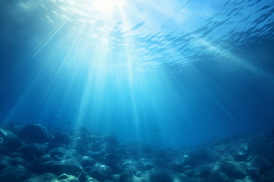 beautiful underwater view with sunlight