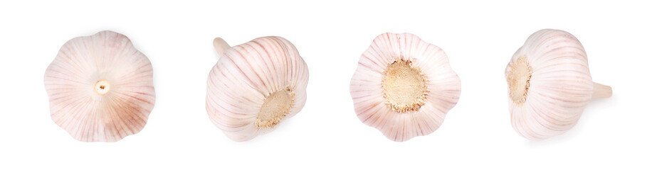 Fresh garlic bulbs isolated on white, set