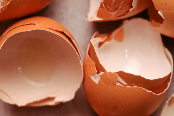 Macro photography of eggshells. Food concept.