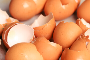 Macro photography of eggshells. Food concept.