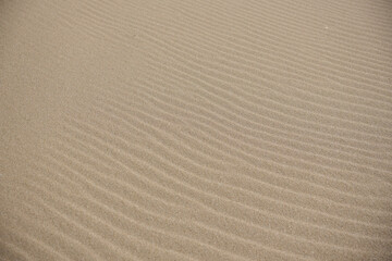 【テクスチャ】砂浜にできた風紋