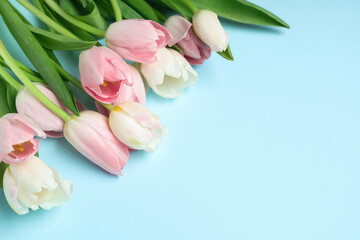 Bouquet of beautiful tulips on blue background. International Women's Day