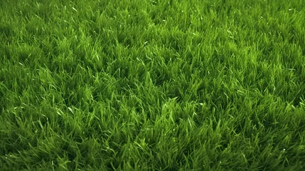 Zelfklevend Fotobehang Fresh green grass for football sport, football field © AnniePatt