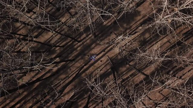 toma aerea de modelo acostada con vestido marron claro, sobre tela violeta, en pinares oto&ntilde;ales 