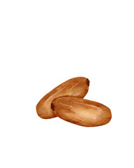 Watercolor Dates Fruit Islamic