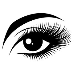 Beautiful woman eye with long lashes vector icon, clipart, symbol, black color silhouette