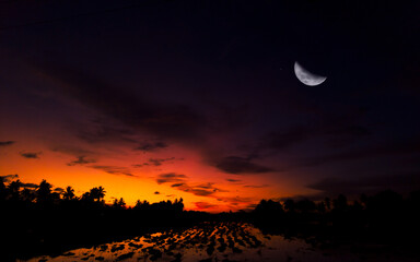 Beautiful evening sky with trees in silhouette and half moon