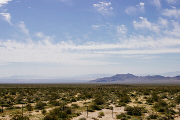 Desert in Arizona with green bushes and cacti on a sunny day with blue sky and white clouds. Nature...