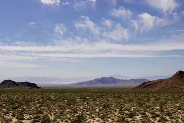Fototapeta premium Desert in Arizona with green bushes and cacti on a sunny day with blue sky and white clouds. Nature near Phoenix, Arizona, USA