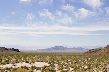 Desert in Arizona with green bushes and cacti on a sunny day with blue sky and white clouds. Nature...
