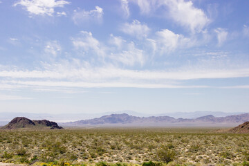 Desert in Arizona with green bushes and cacti on a sunny day with blue sky and white clouds. Nature...