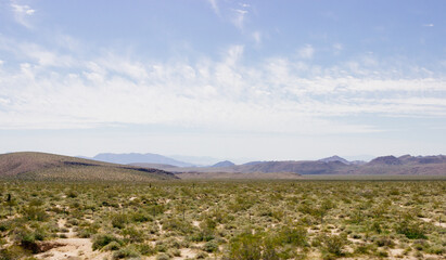 Desert in Arizona with green bushes and cacti on a sunny day with blue sky and white clouds. Nature near Phoenix, Arizona, USA