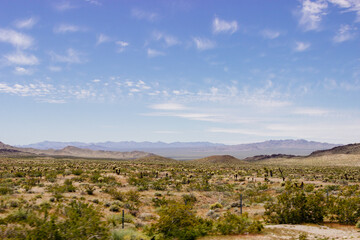 Fototapeta na wymiar Beautiful blue sky with fluffy clouds over mountains covered with yellow grass and green bushes on a sunny day. Arizona nature in spring and summer. Desert in Arizona on sunny summer day