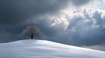 Fototapeta na wymiar a single tree stood tall on the snow-covered hills