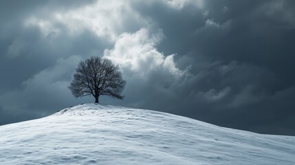a single tree stood tall on the snow-covered hills