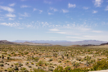 Beautiful blue sky with fluffy clouds over mountains covered with yellow grass and green bushes on a sunny day. Arizona nature in spring and summer. Desert in Arizona on sunny summer day