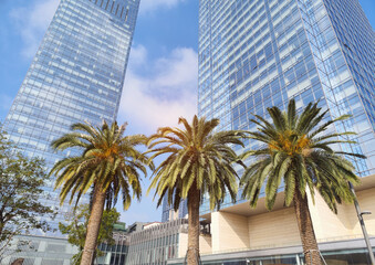 Fototapeta na wymiar Highrise buildings on a blue sky with palm tree