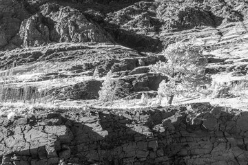 Black and white infra red landscape of Glacier National Park