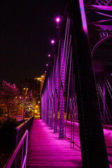Futuristic Purple-Lit Heritage Bridge at Night, Urban Backdrop