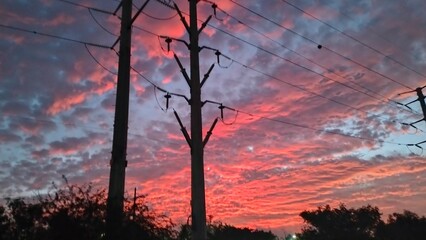 sunset in the woods © Delina