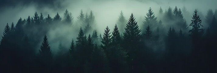 misty autumn coniferous evergreen forest with fog in the mountains,  Misty landscape with fir forest in hipster vintage retro style. dark green forest lanscape panorama