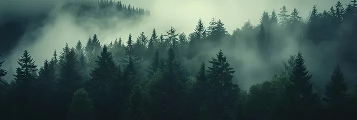  misty autumn coniferous evergreen forest with fog in the mountains,  Misty landscape with fir forest in hipster vintage retro style. dark green forest lanscape panorama © Nice Seven