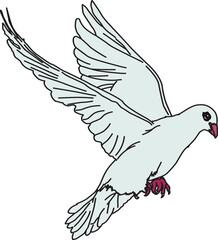 鳩（pigeon）(eps)
