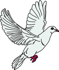 鳩（pigeon）