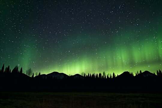 Aurora borealis in the night sky,  Northern lights