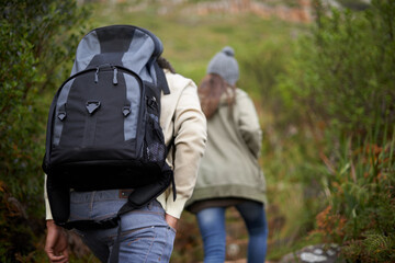 Fototapeta premium Couple of friends, hiking in nature for travel, outdoor adventure or journey in forest or eco friendly woods. Back of people walking together or trekking in backpack on mountains path to explore