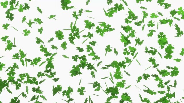 Falling green clover leafs animation