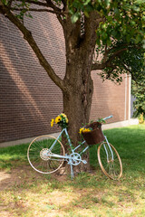Fototapeta premium Decorative bicycle with flowers in basket near tree.