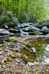 Serene Woodland Stream with Mossy Rocks in Smoky Mountains