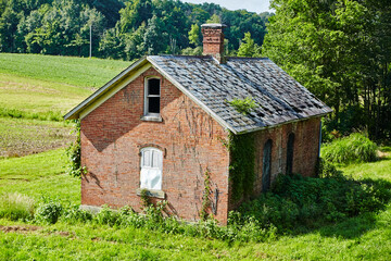 Abandoned Brick House with Vines in Rural Ohio, Eye-Level View