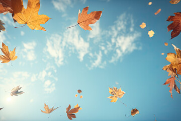 Fototapeta na wymiar Fallen autumn leaves on blue sky background. Fall season concept