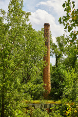 Fototapeta premium Abandoned Brick Chimney in Forest - Industrial Decay and Nature