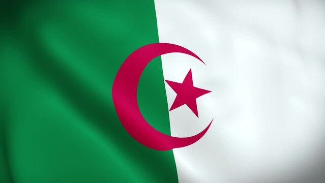 Algeria Flag. Waving Fabric Satin Texture Flag of Algeria 3D illustration. Real Texture Flag of the Peoples Democratic Republic of Algeria 4K Video