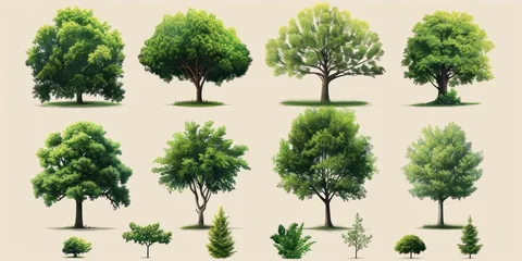 Fotobehang Trees collection set. Green plants with leaves, garden botanical vector © sirisakboakaew