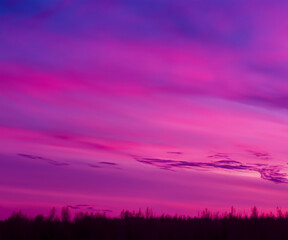 Pink purple evening sky. spring background world environment day concept