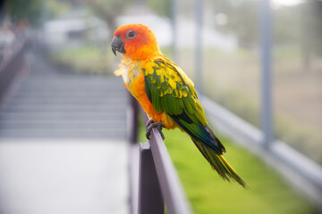 Bali's beautiful landscapes and street scenes