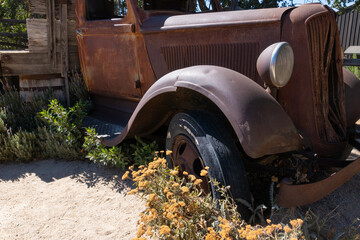 Rusty old vintage truck with front broken radiator grill, headlight and plants and weeds growing...