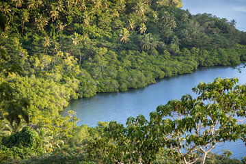 Overlooking water inlet and tropical forest on Vanua Levu, Fiji