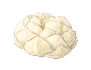 ゆりね1個　水彩色鉛筆イラスト