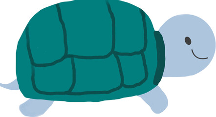 cute turtle