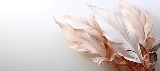 Feathers displayed against a white background provide a versatile canvas, offering ample room for customization and creative adaptations.